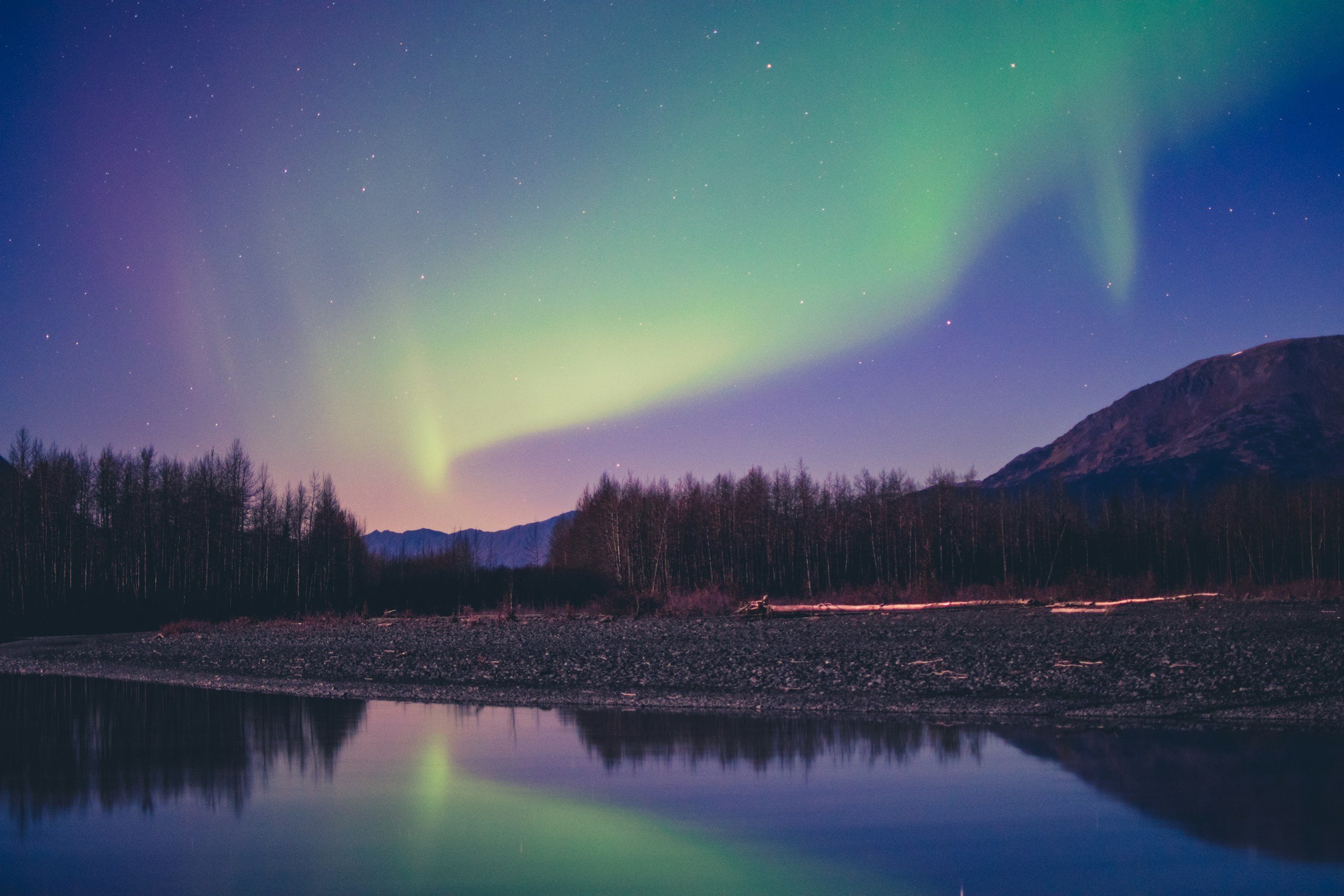 Green northern lights over a still lake and a dark tree line