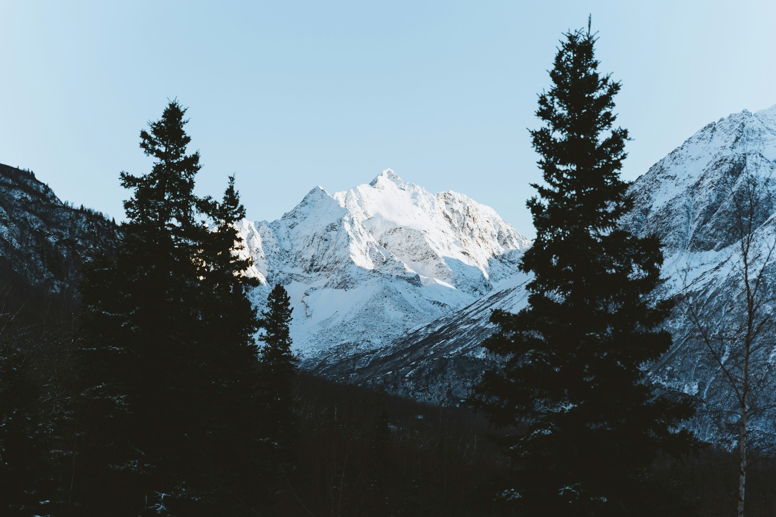 Snow-covered peaks framed by dark spruce trees near Girdwood
