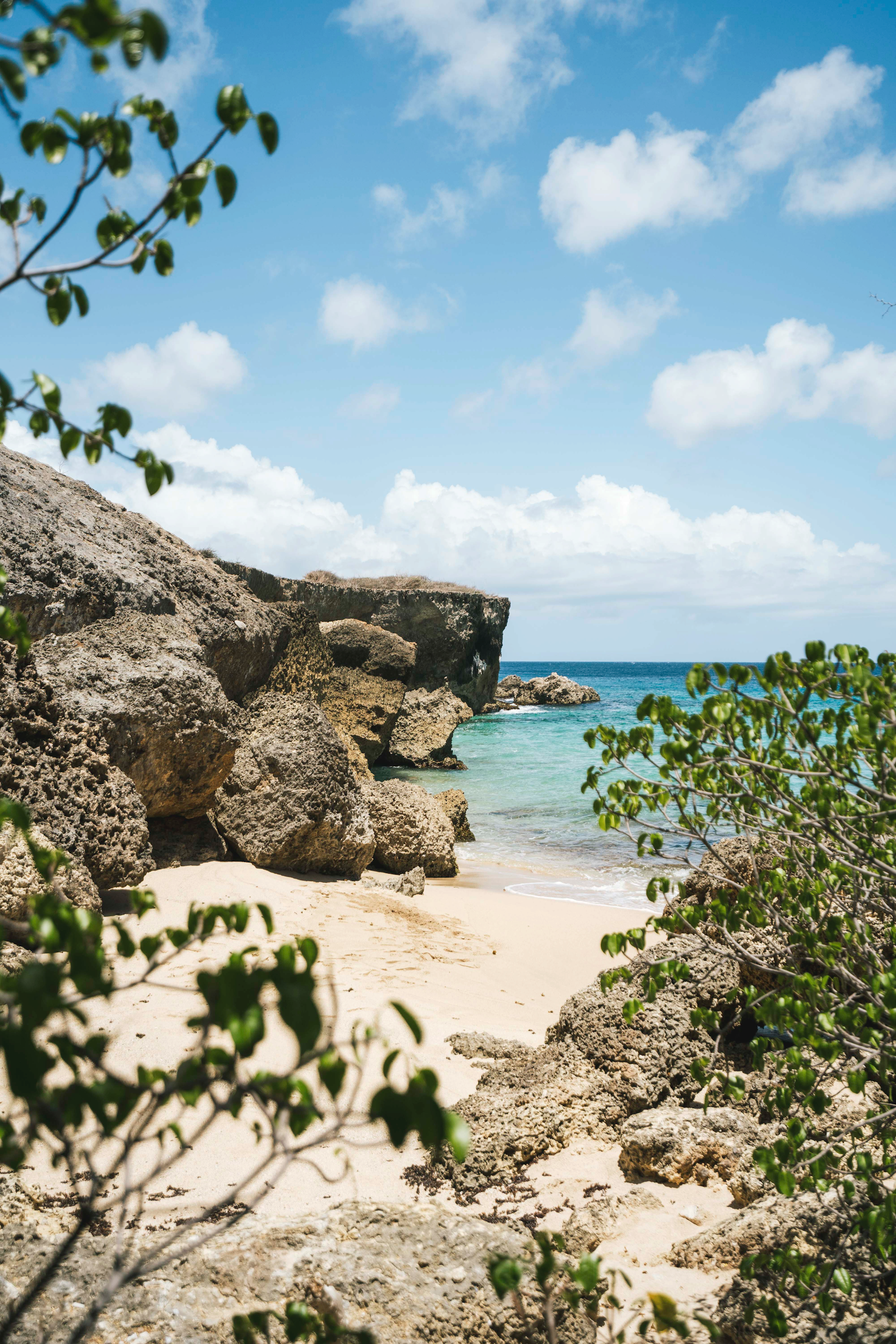 A small sand cove between limestone rocks and sea grape on Anguilla