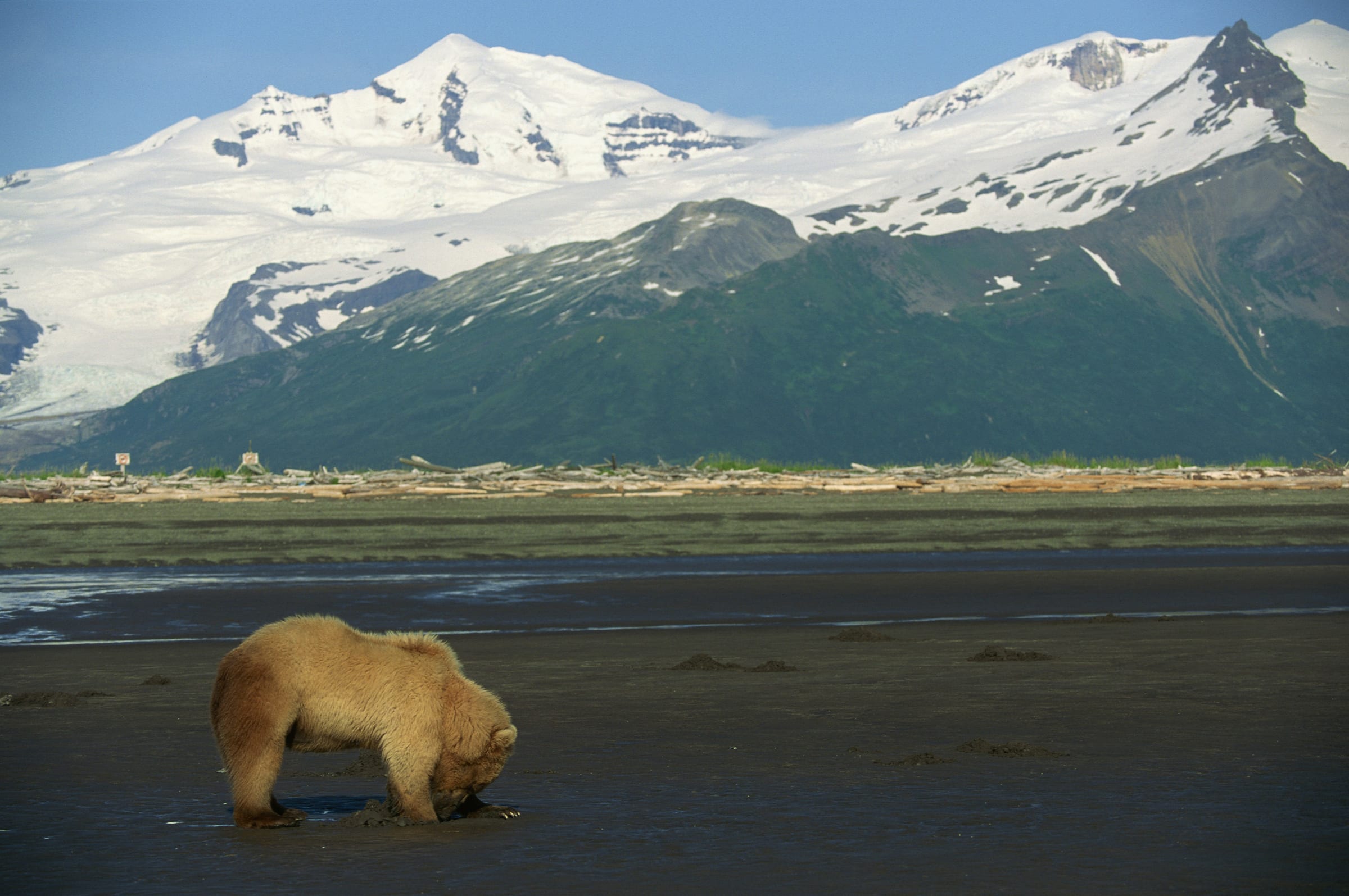 Snow-capped peaks reflected in calm water along the Alaskan coast