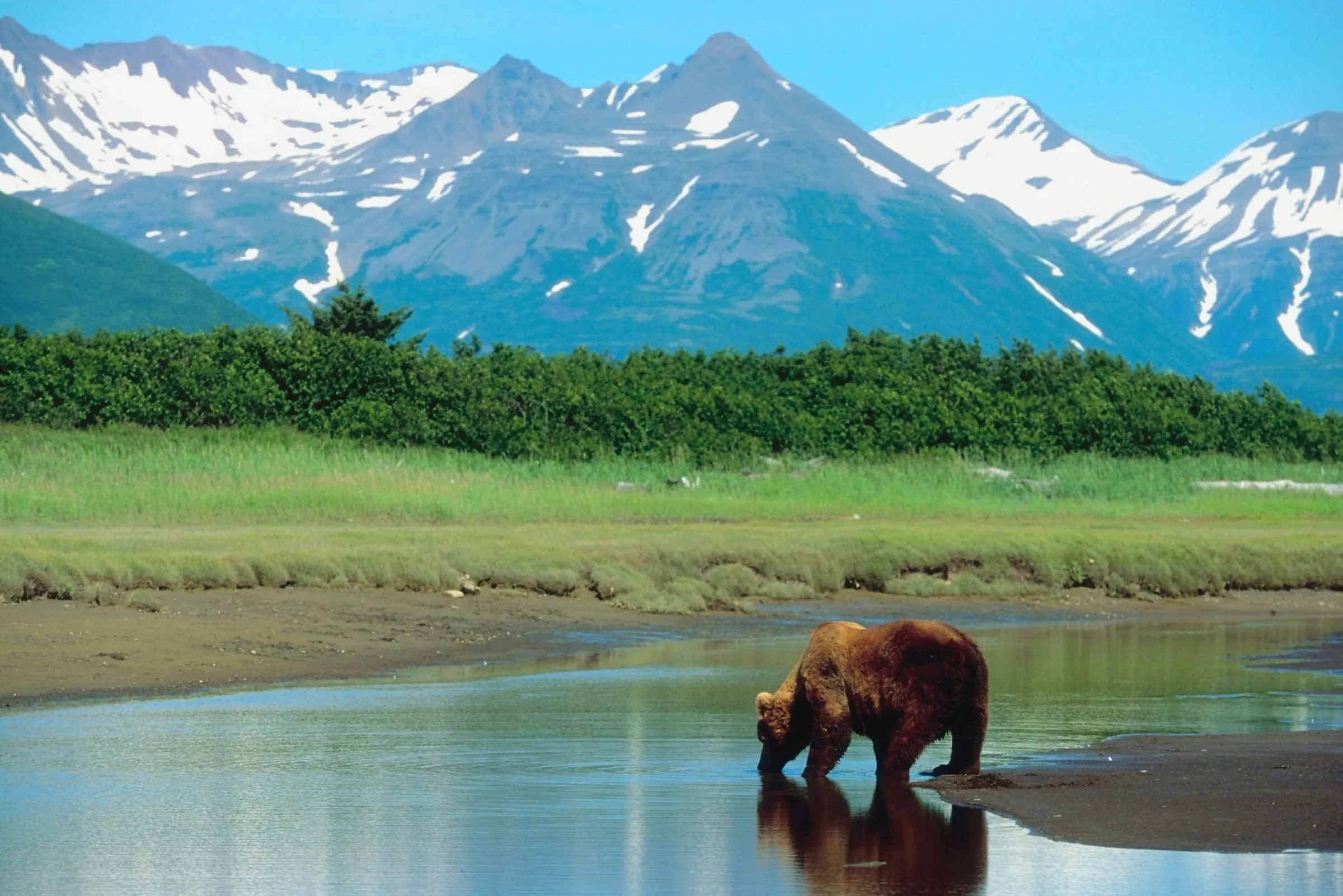 Snow-capped mountains and glacial water in the Alaskan wilderness.