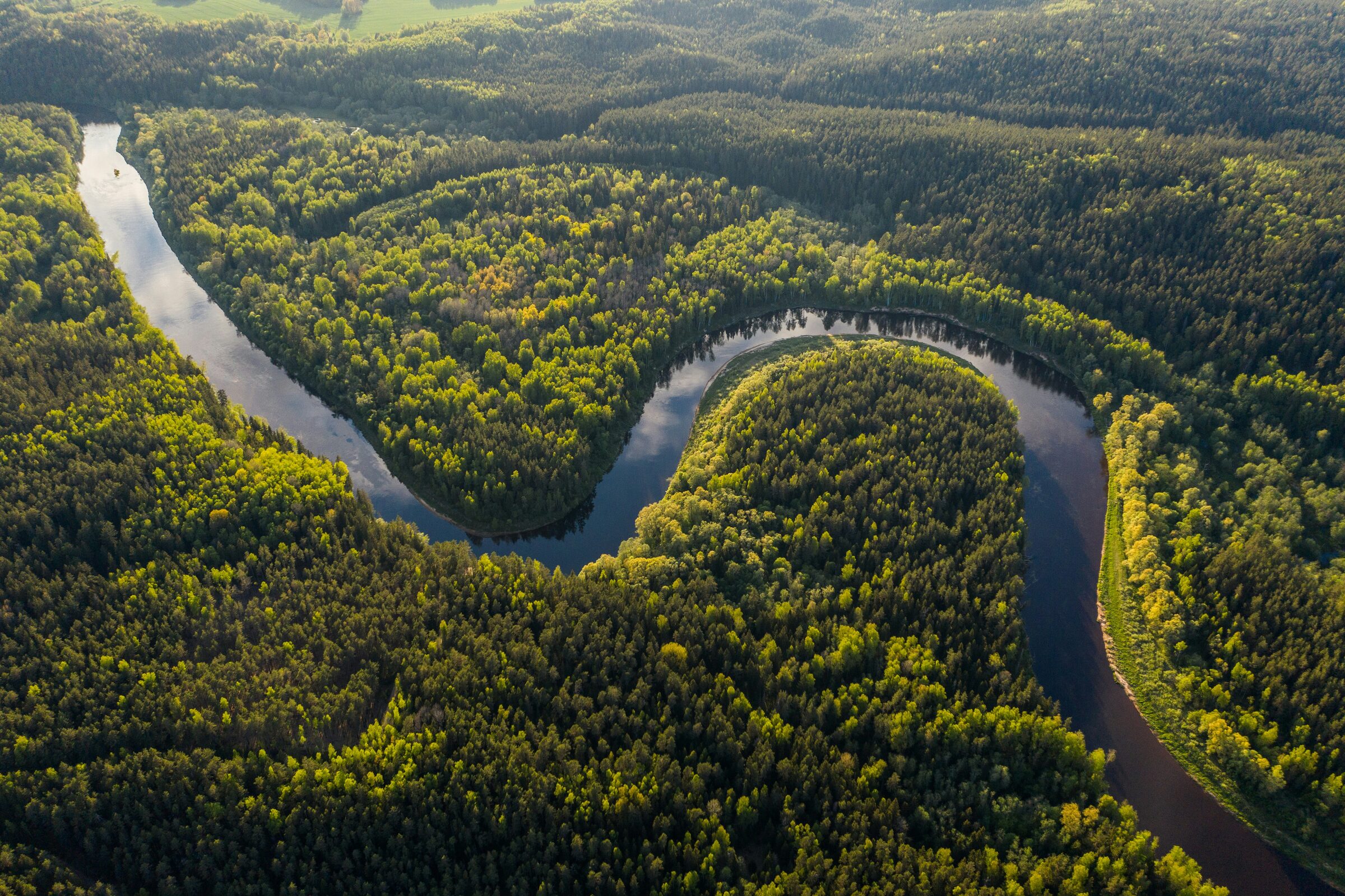 The Amazon River and rainforest canopy, Brazil