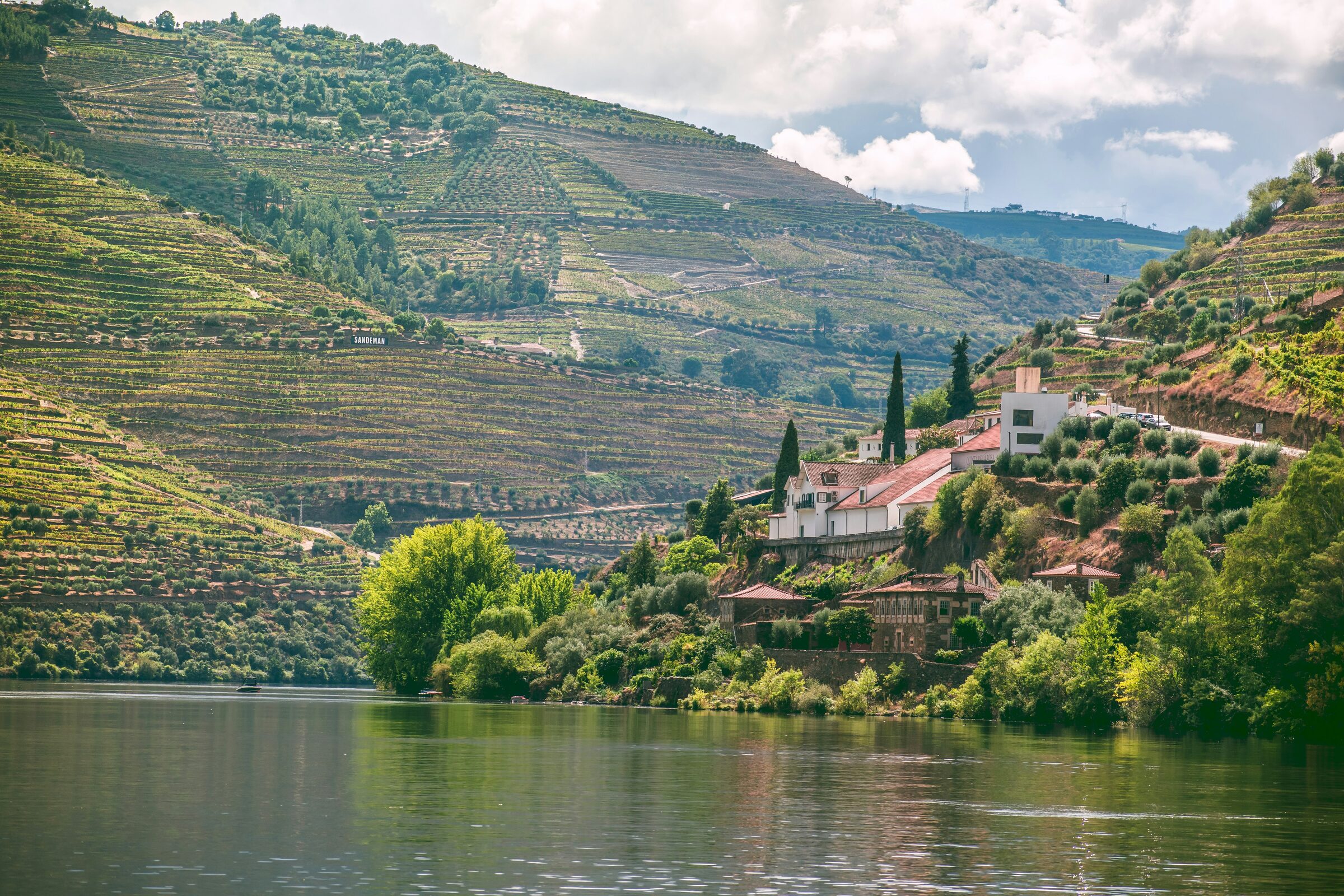Douro Valley terraced vineyards and the river, Portugal