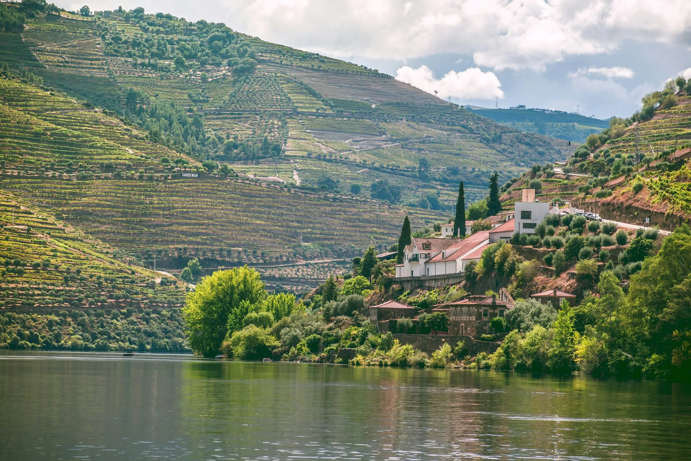 Terraced vineyards rising from the banks of the Douro River in Portugal