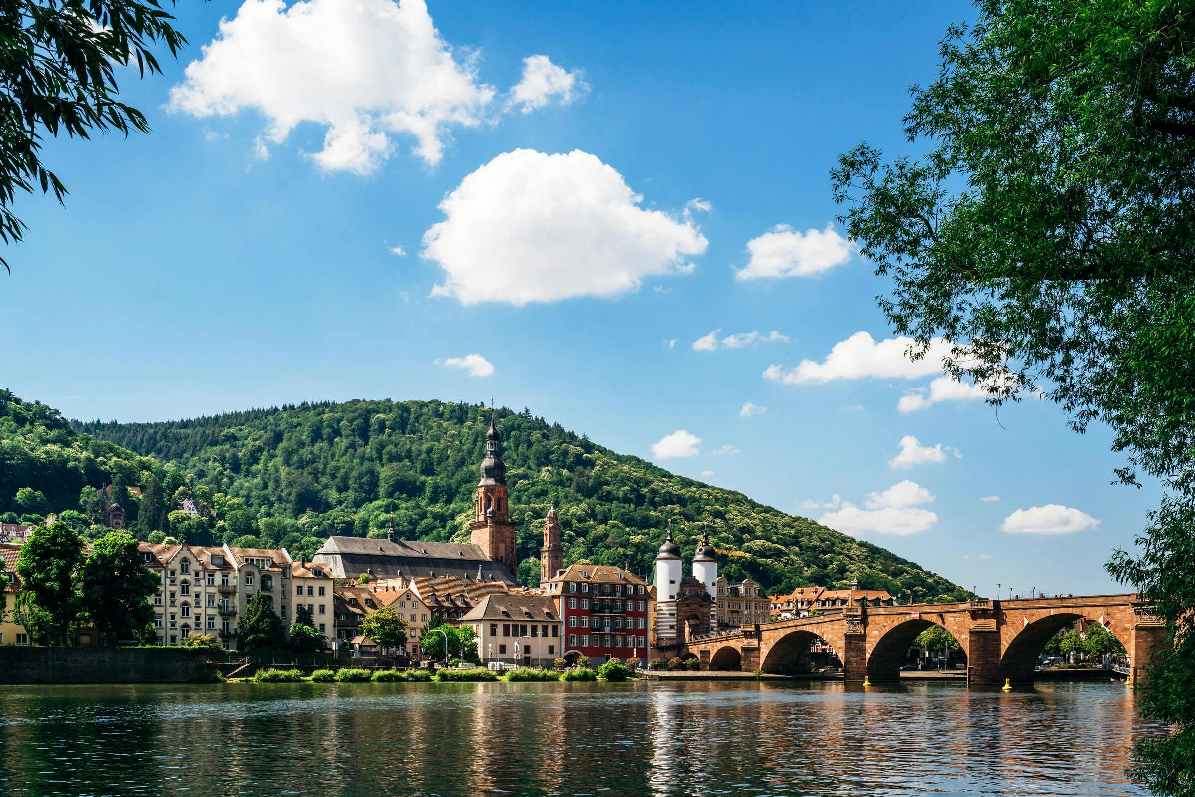Middle Rhine Valley castle stretch with Riesling vineyards, Germany