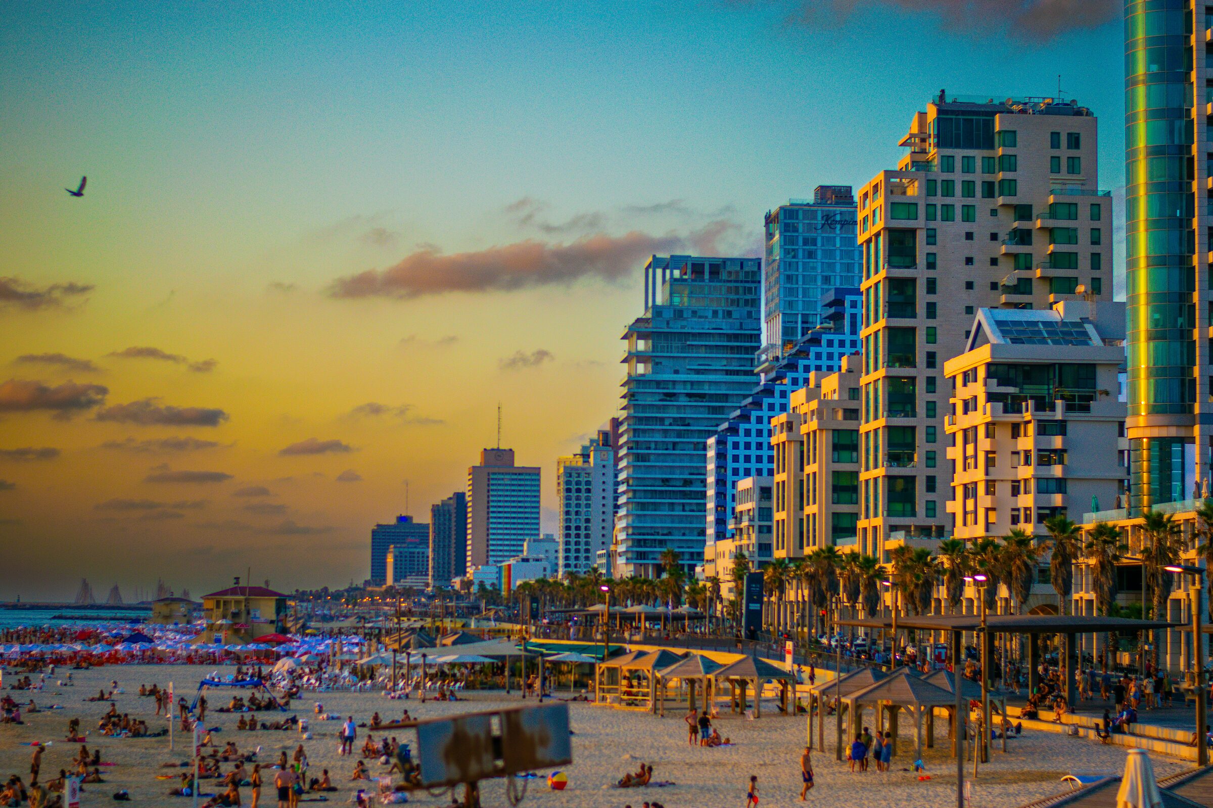 Modern high-rises along the Mediterranean beachfront of Tel Aviv